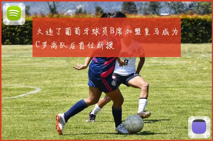久违了葡萄牙球员B席加盟皇马成为C罗离队后首位新援