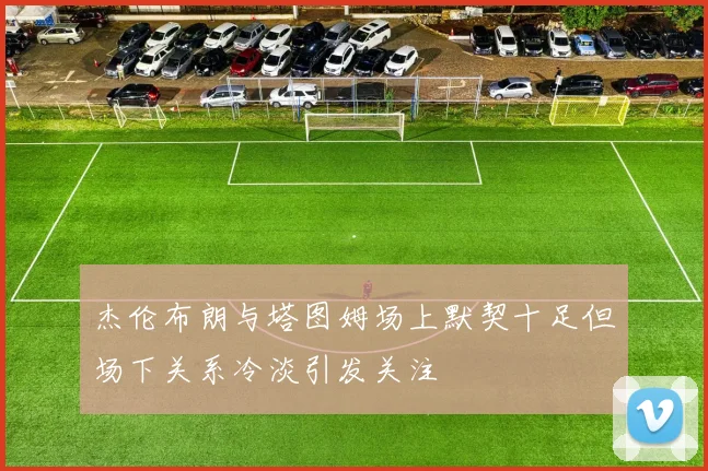杰伦布朗与塔图姆场上默契十足但场下关系冷淡引发关注
